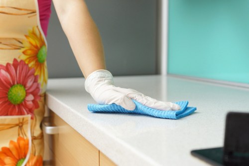 Local home cleaners preparing a living room clean in Cleaninghouse