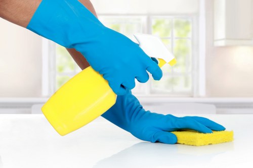 Professional carpet cleaning for stairs and hallways in Cleaninghouse