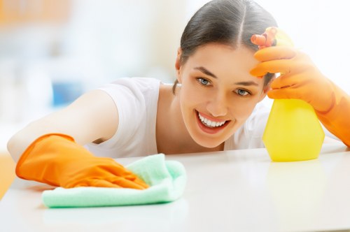 Regular home cleaning service for residents and landlords in Cleaninghouse