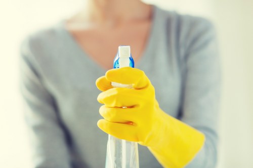 Cleaning supplies and a tidy living room for home care