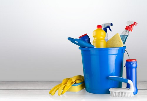 Deep carpet cleaning equipment used in a Cleaninghouse home