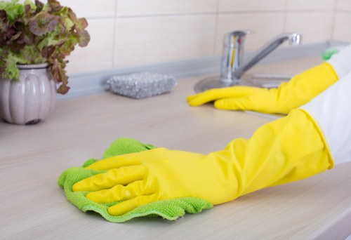 Professional window cleaning for a local home in Cleaninghouse