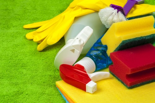 Organized living room as part of cleaninghouse care