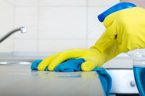 Visual of analytics data monitoring website performance for Cleaninghouse