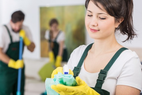 Regular domestic cleaning in a home setting