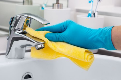 Bathroom maintenance and fresh household cleaning routine
