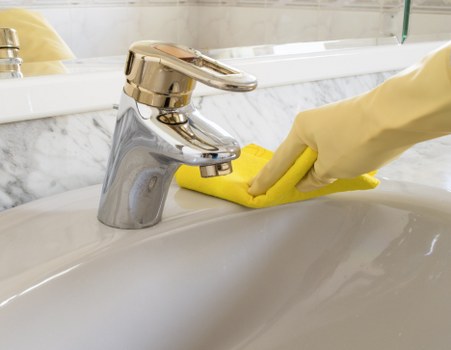 Professional cleaners handling domestic and commercial cleaning tasks
