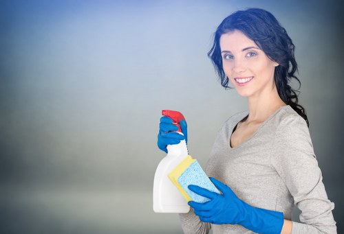 Safe Cleaninghouse payment options including cards and PayPal